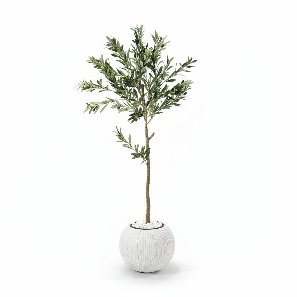 Artificial ficus tree full studio shot on white background