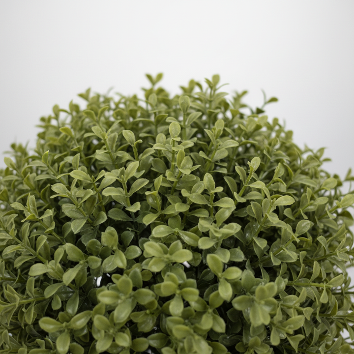 Close-up of artificial fern delicate feathery fronds on white studio background