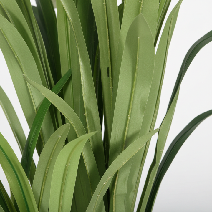 Close-up of artificial pothos heart-shaped leaves on white studio background