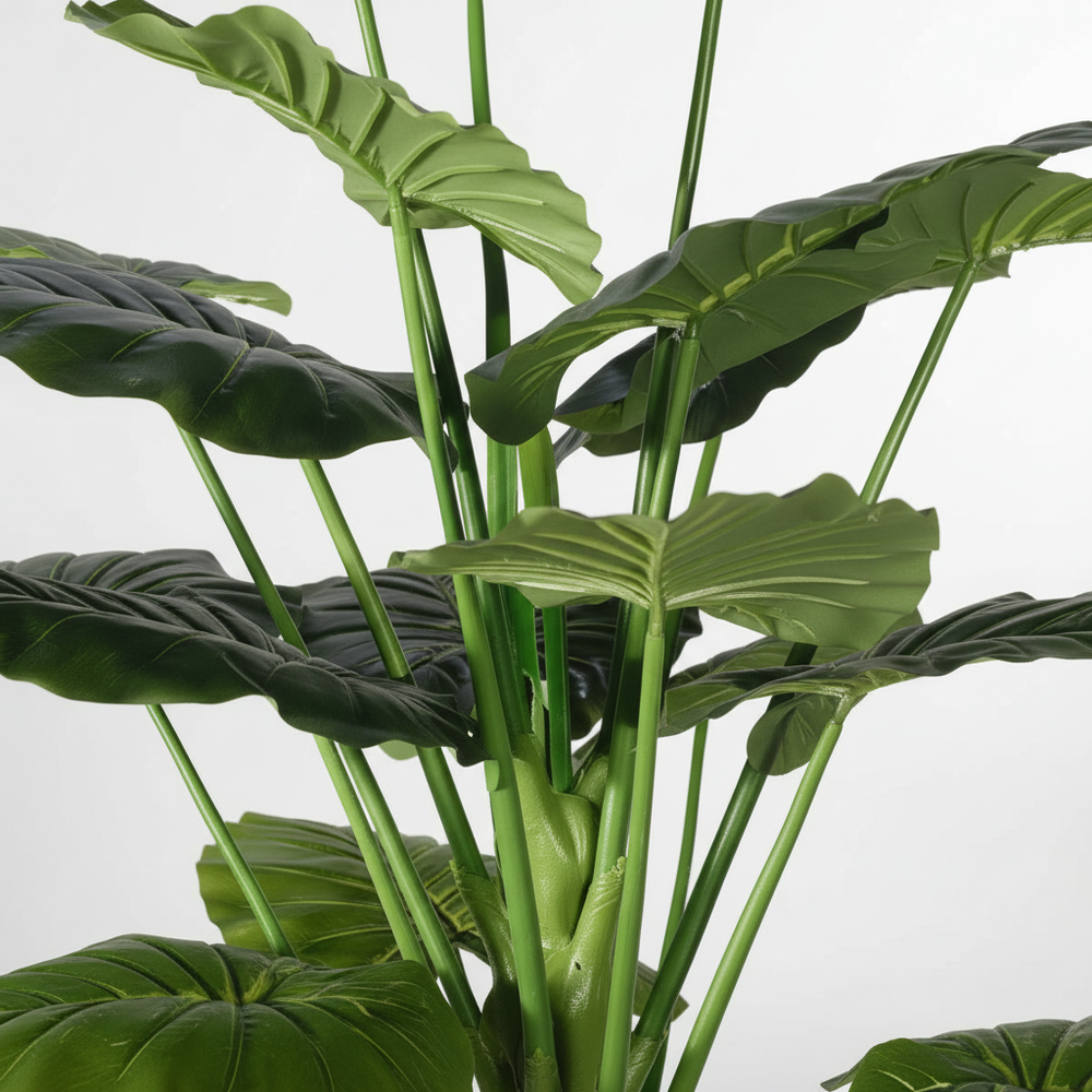 Close-up of artificial trailing ivy leaves on white studio background