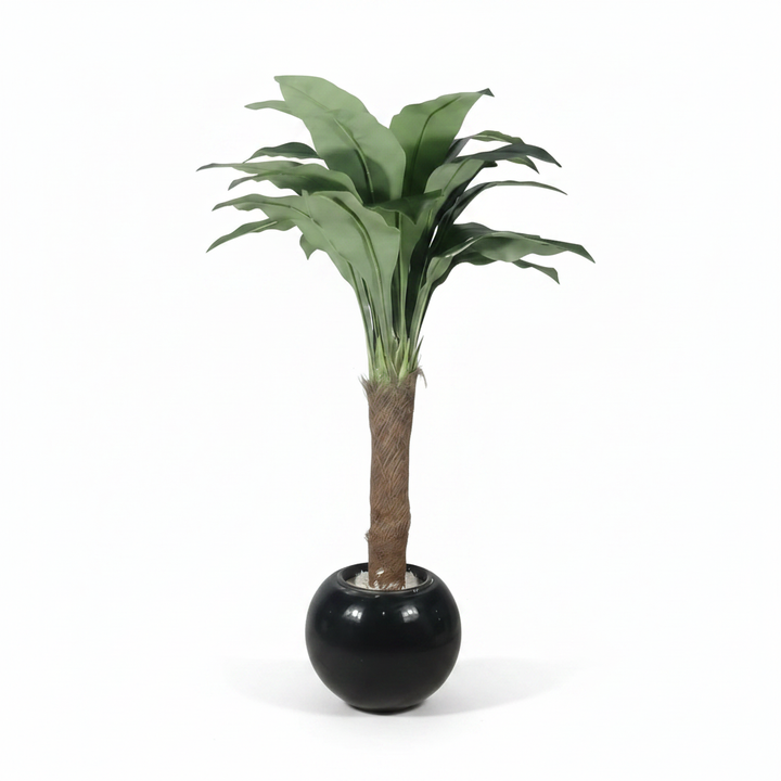 Artificial dracaena tree full product shot on white studio background
