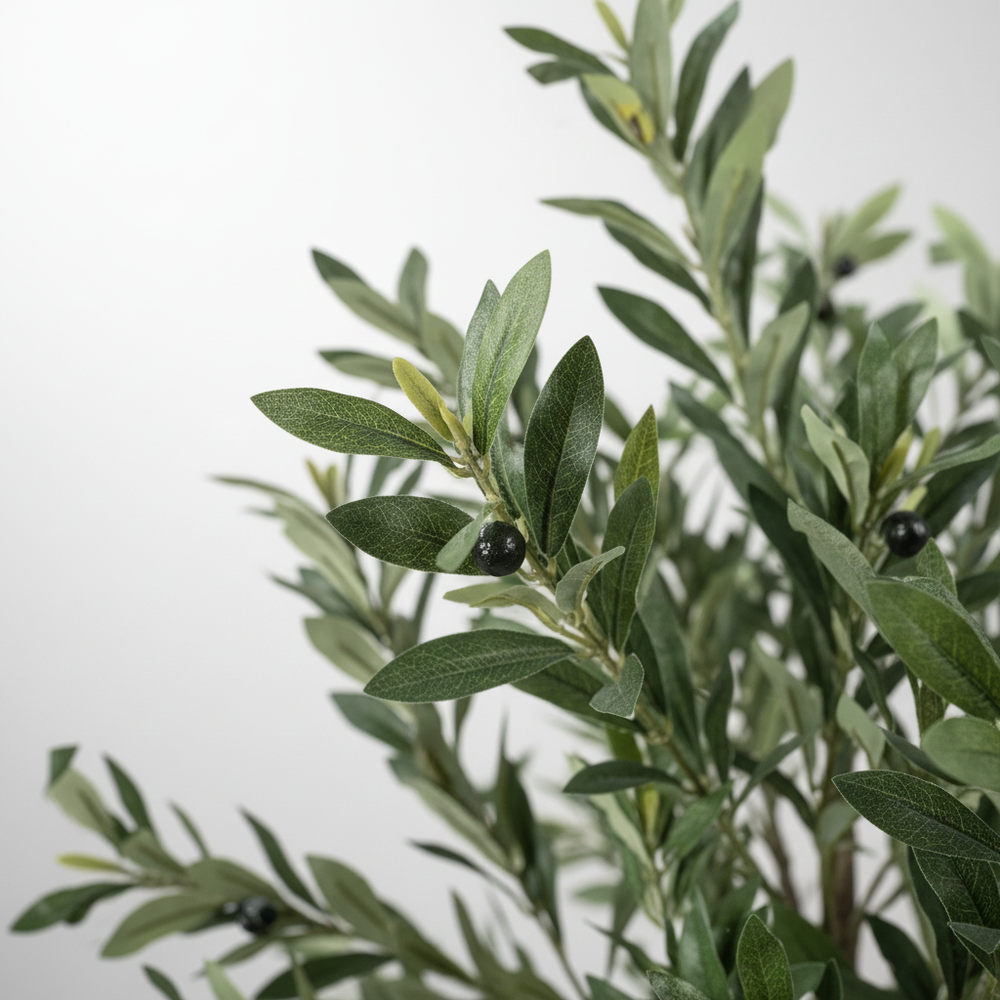 Close-up of large artificial olive tree leaves on white studio background