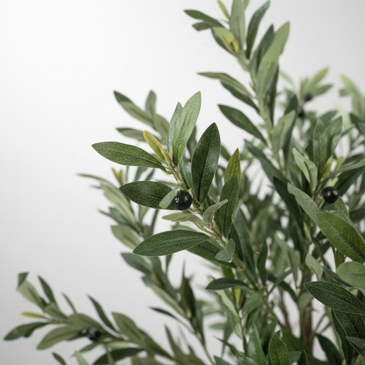 Close-up of large artificial olive tree leaves on white studio background