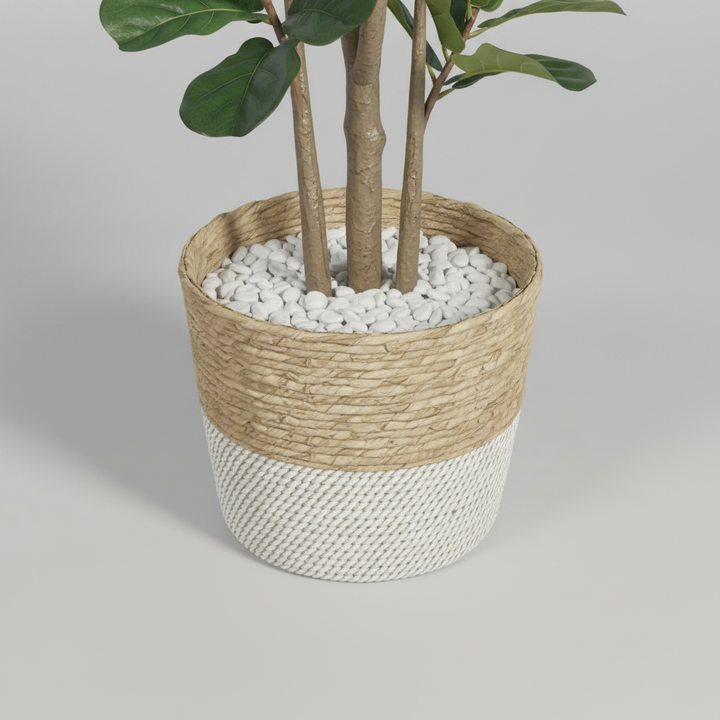 Close-up macro of artificial myrtle terracotta pot on light gray studio background
