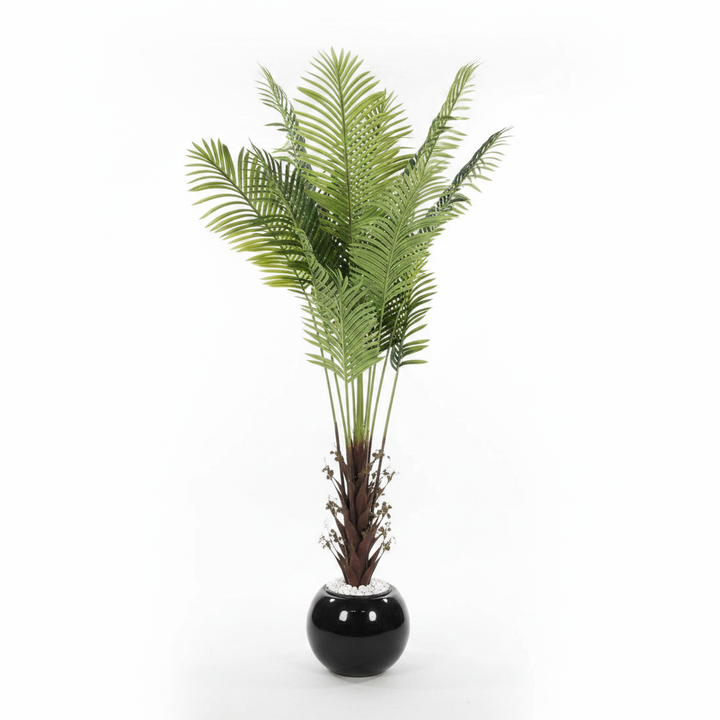 Artificial snake plant full studio shot on white background