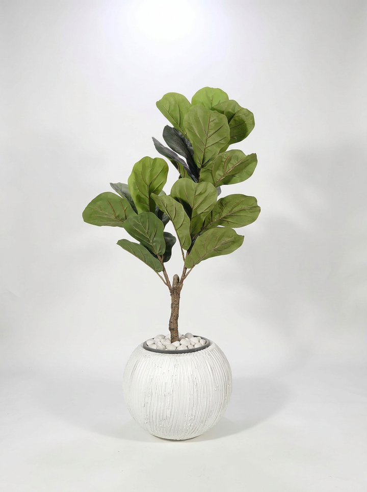 Artificial indoor plant on clean white studio background