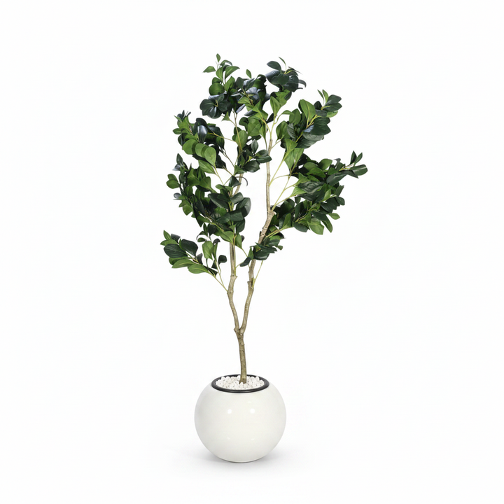 Artificial dracaena full studio shot on white background
