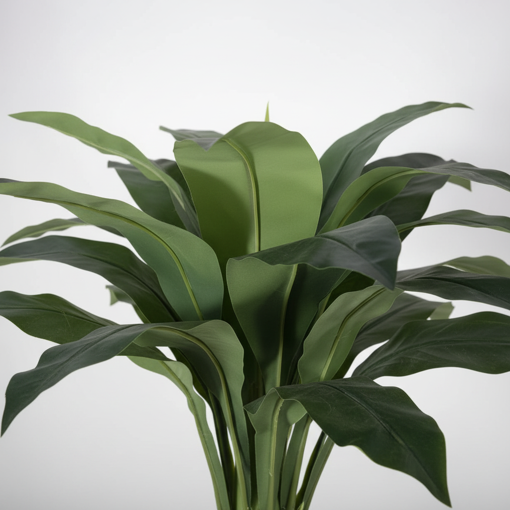 Close-up of philodendron leaves