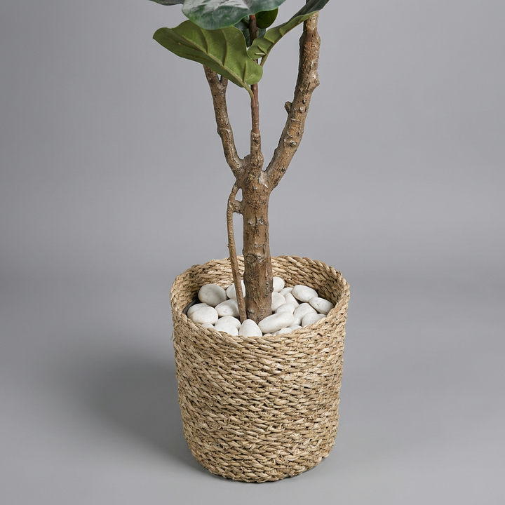 Close-up of pot and base with white pebbles on gray background