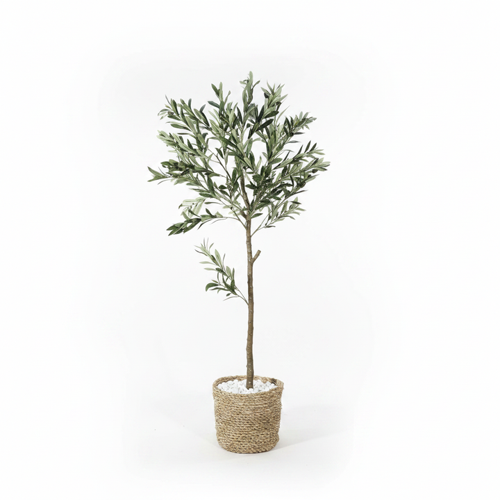 Lush artificial greenery plant full studio shot on white background