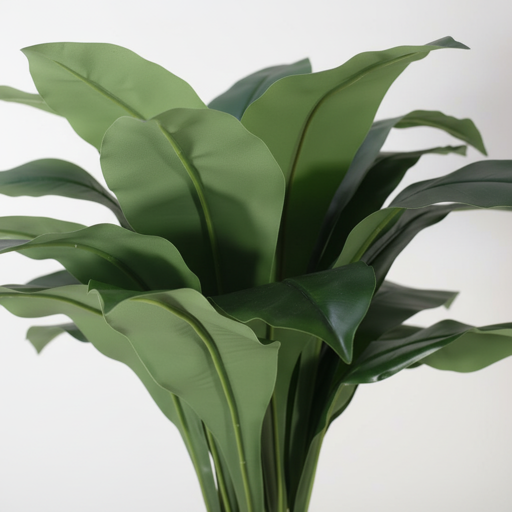 Close-up of pothos leaves