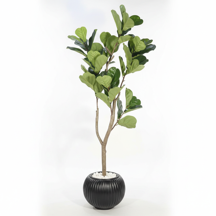 Artificial boxwood shrub full studio shot on white background