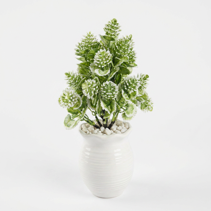 Artificial decorative plant studio shot on white background