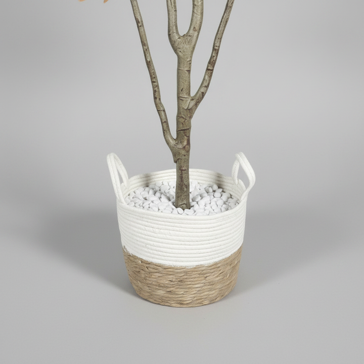 Close-up macro of artificial boxwood black pot on light gray studio background