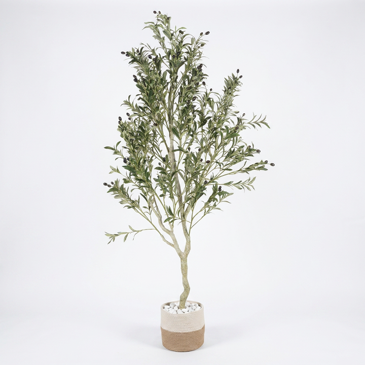 Artificial decorative plant studio shot on white background