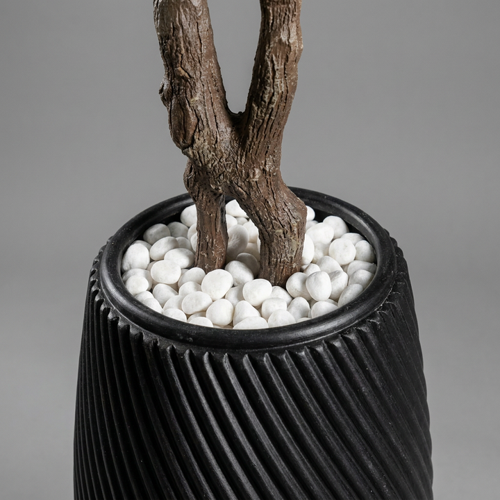Close-up detail of pot and trunk base on gray background