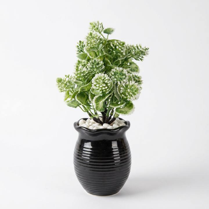 Artificial decorative plant studio shot on white background