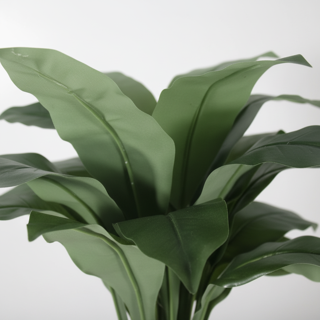 Close-up of dracaena leaves