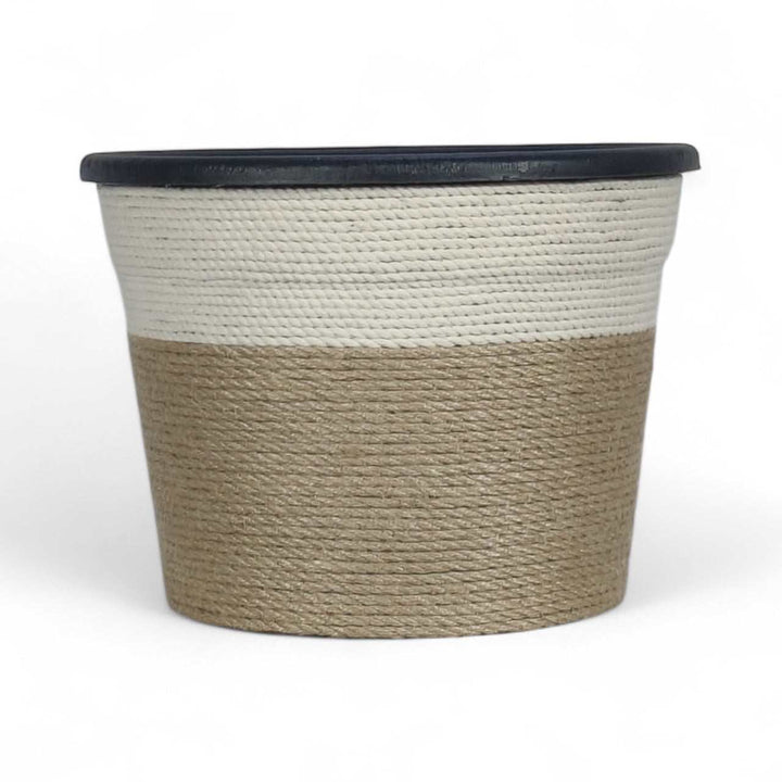 Woven Jute BasketWoven Jute BasketOrganize your home in style with this handwoven basket. Made from natural jute with a contrasting white cotton accent, it features sturdy side handles for easy carryArtificial PlantsWadi Home