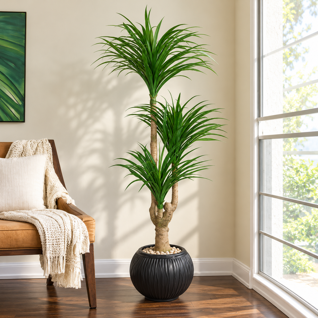 165 cm artificial three-head dracaena with narrow arching green leaves in a spherical black ribbed pot, styled with pale pebbles.