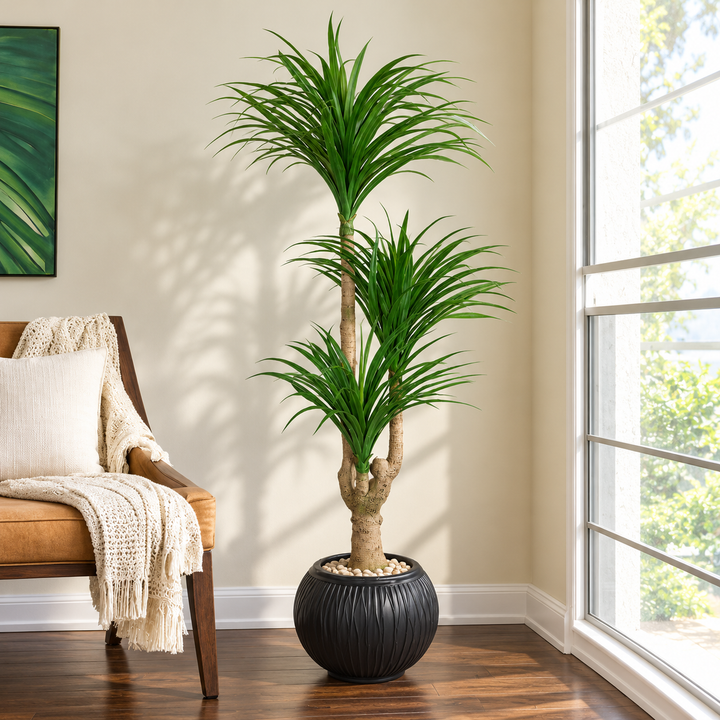 165 cm artificial three-head dracaena with narrow arching green leaves in a spherical black ribbed pot, styled with pale pebbles.