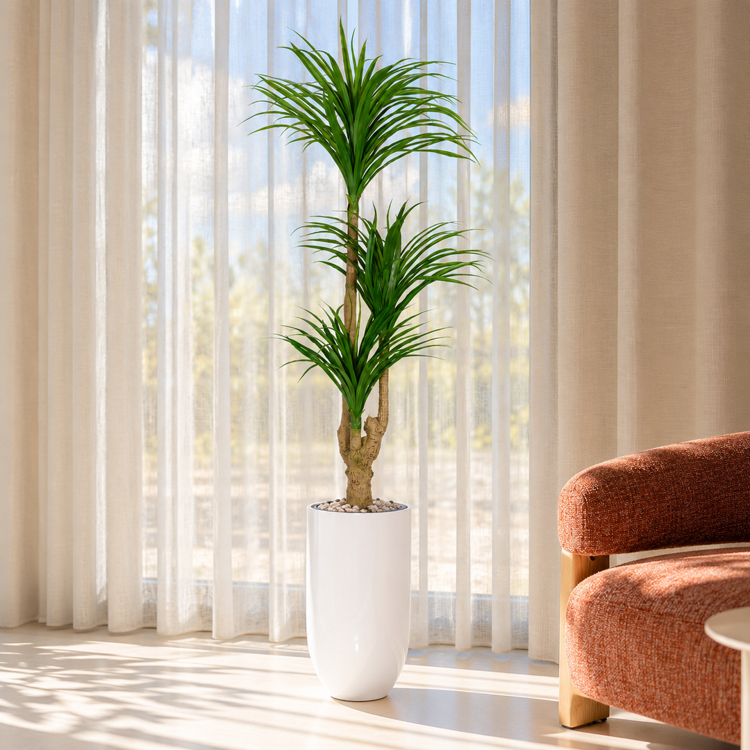 200 cm artificial three-head dracaena with arching green leaves in a tall glossy white fiberglass pot, styled with pale pebbles.