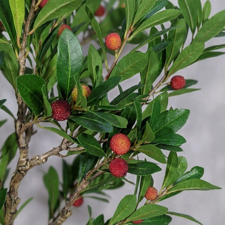 Wadi Home artificial bayberry tree with realistic green leaves and textured red berries on a detailed woody branch