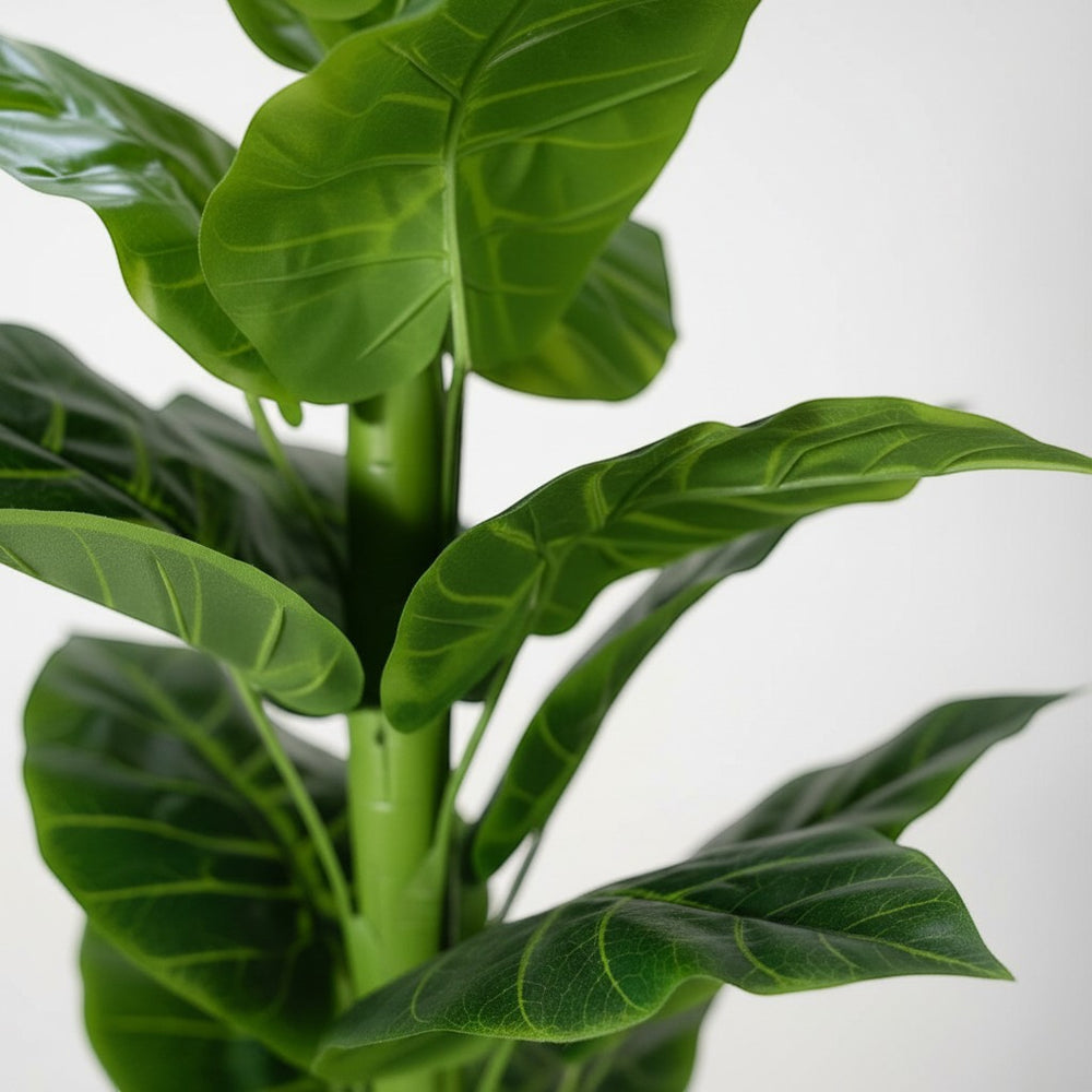 Wadi Home artificial fiddle leaf fig plant with vibrant green leaves and realistic veining in a close-up view