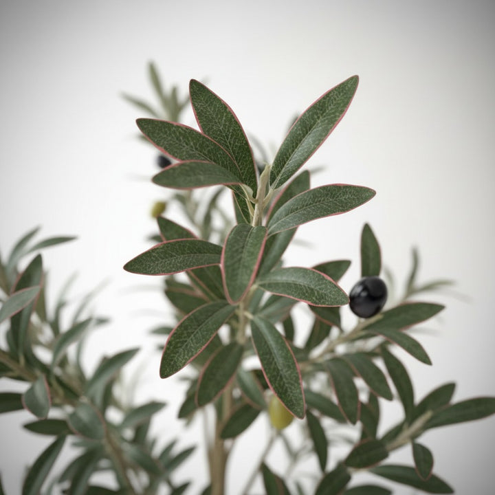 Wadi Home artificial olive tree featuring detailed green leaves with reddish edges and small dark olives
