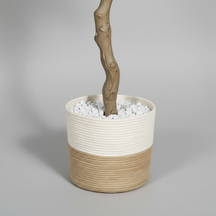 Wadi Home artificial olive tree trunk in a two-tone beige and white woven jute basket with white decorative pebbles