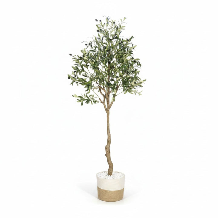 Wadi Home artificial olive tree with gnarled trunk, silvery-green leaves, and a two-tone jute and white pot.
