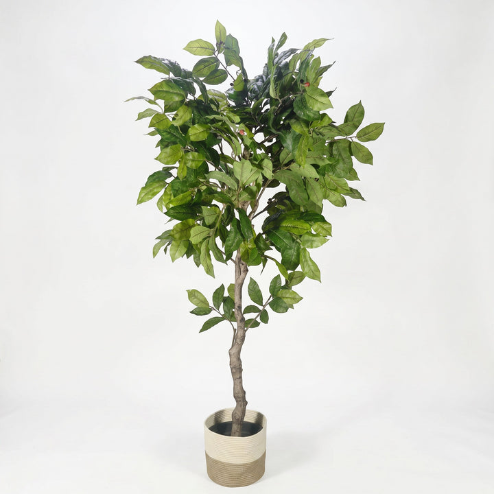 Wadi Home artificial potted tree with lush green leaves, red berries, and a textured trunk in a two-toned basket.