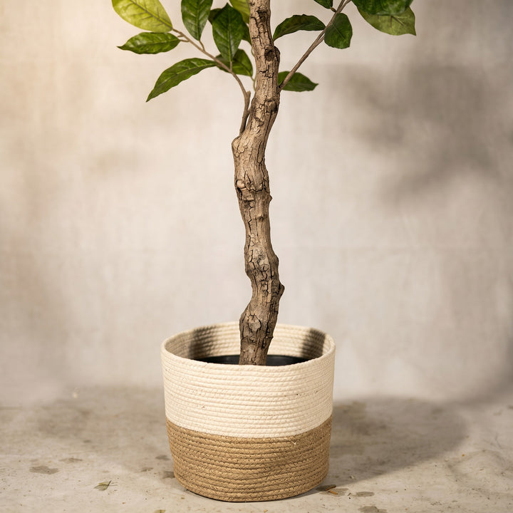 Wadi Home artificial potted tree with realistic green leaves and textured trunk in a two-toned woven basket.