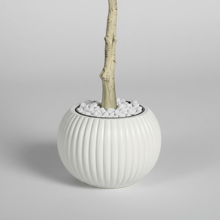 Wadi Home artificial tree trunk in a round ribbed white ceramic pot topped with decorative white pebbles.