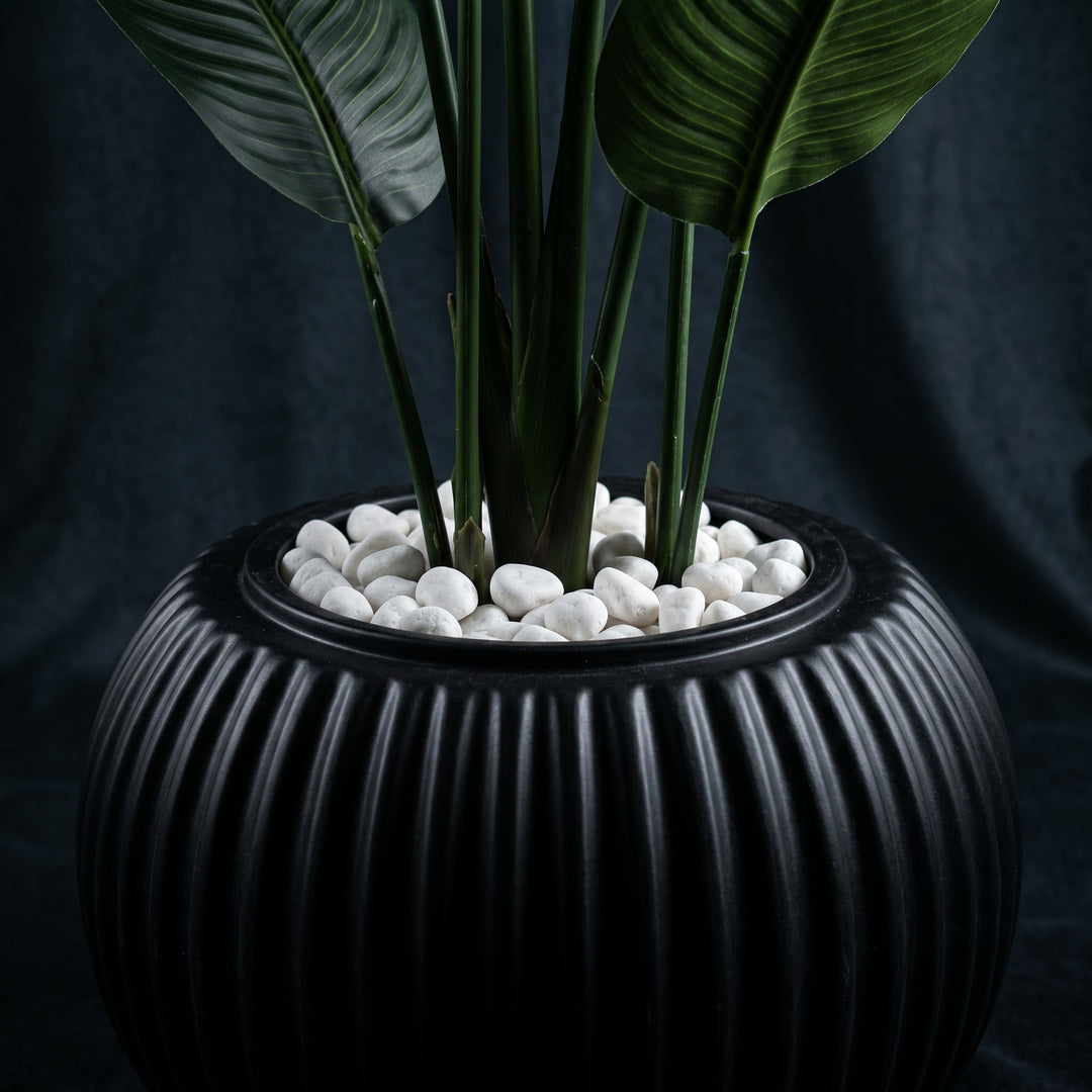 Wadi Home black ribbed planter with white river stones and green artificial bird of paradise plant