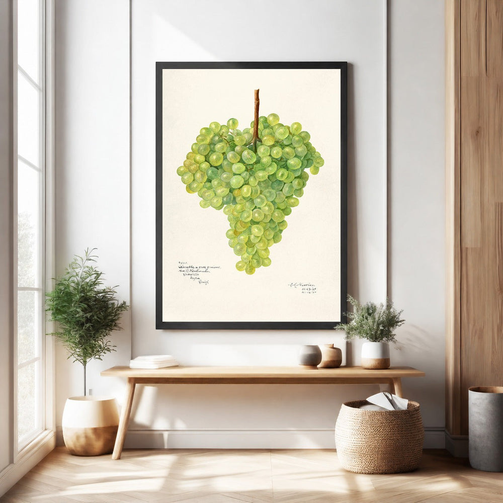 Wadi Home Botanical Grape Cluster Wall Art, realistic green grape illustration on cream background, framed.