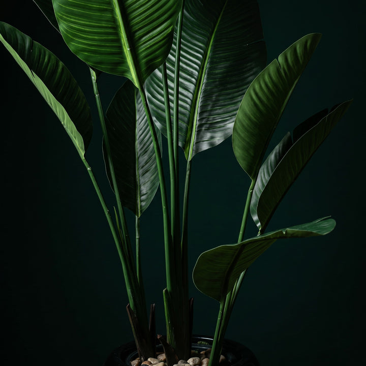 Wadi Home Large Bird of Paradise artificial plant with lush green leaves in a black pot with gold accent and decorative stones.