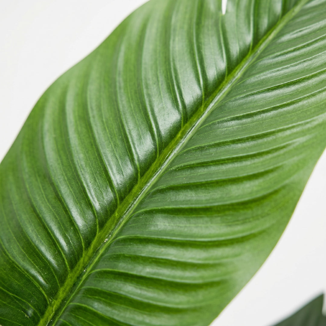 Wadi Home Large Bird of Paradise artificial plant with lush green leaves in a black pot.