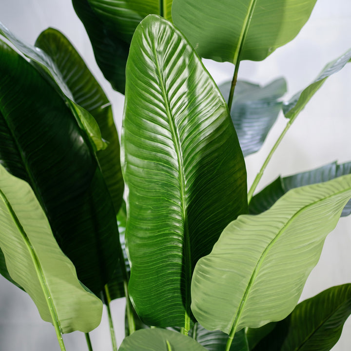 Wadi Home Large Faux Bird of Paradise Plant with lush green leaves in a sleek black pot with gold accent.