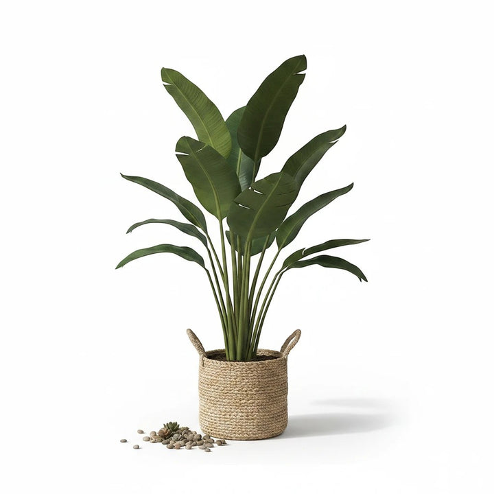 Wadi Home Large artificial Fiddle Leaf Fig plant with lush green leaves in a woven basket. Realistic veining and varied leaf sizes.