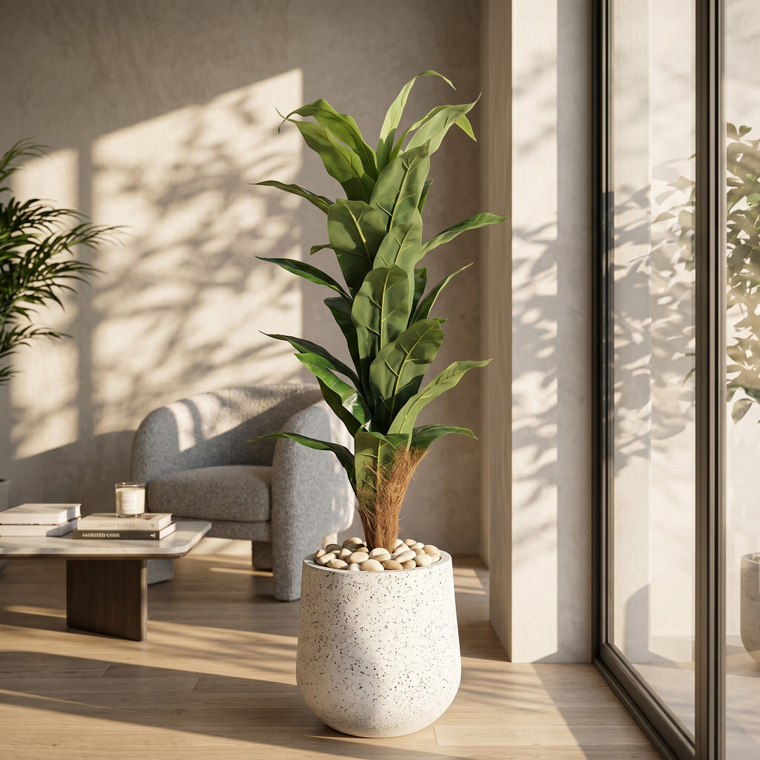 large fiddle leaf fig pot Large Fiddle Leaf Fig Tree in Fiber Glass Pot – Wadi Home