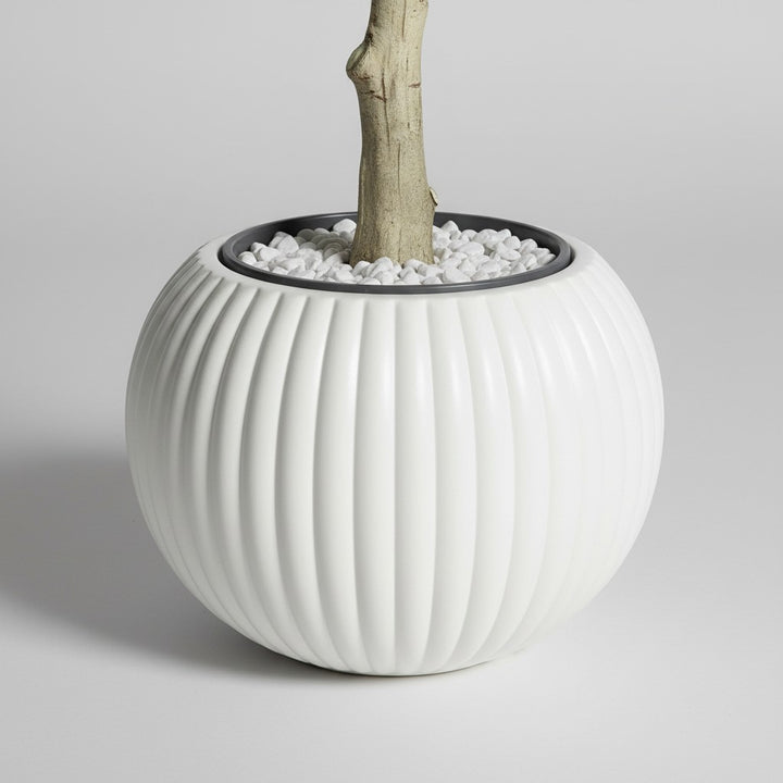 Wadi Home artificial fig tree base in a round ribbed white planter with decorative white pebbles