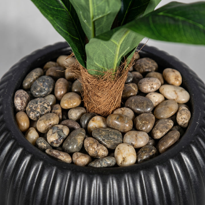 Wadi Home Tall Fiddle Leaf Fig Tree in black ribbed planter with natural stone fill. Realistic artificial plant.