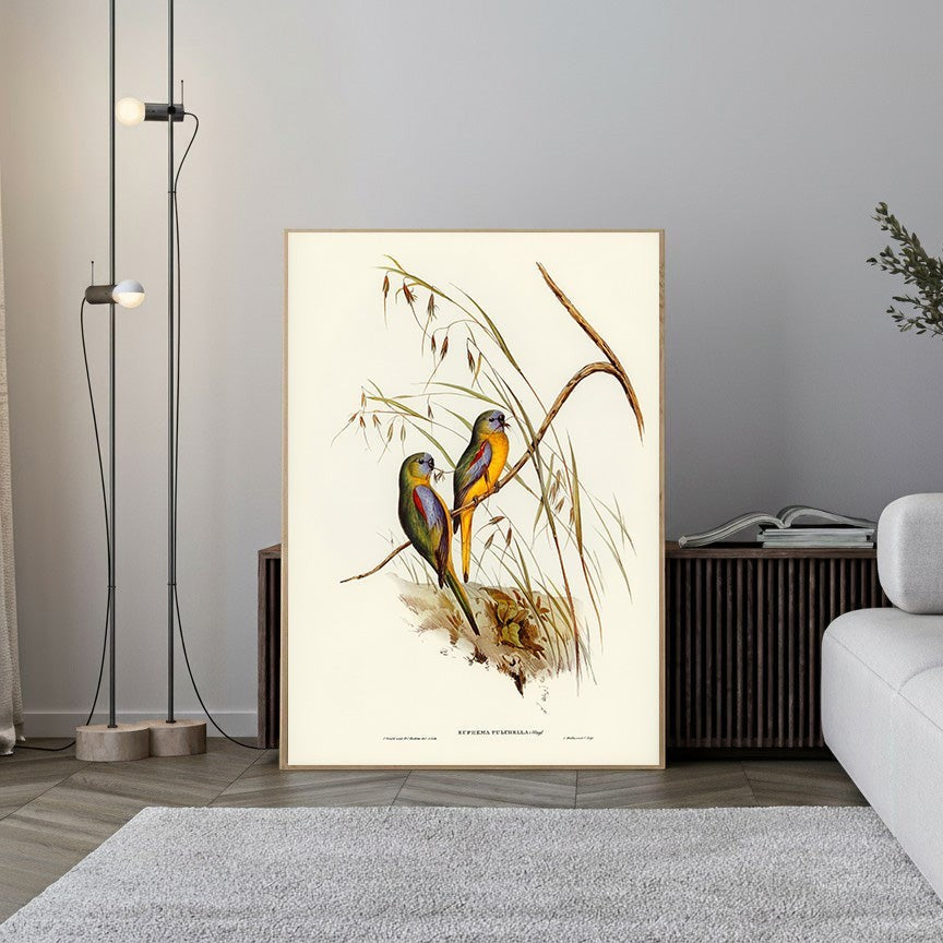 Wadi Home vintage illustration of two colorful parrots perched on a branch with tall grasses. Detailed, classic art style.