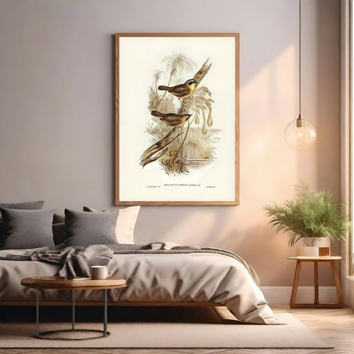 Wadi Home Vintage Bird Illustration Wall Art featuring three brown and yellow birds perched on branches with intricate linework and natural colors.