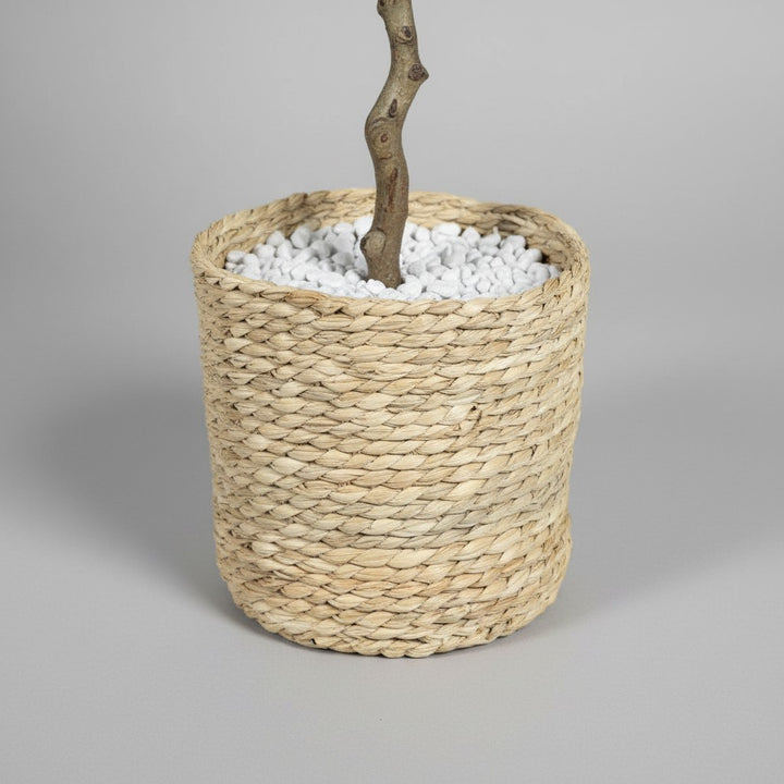 Wadi Home artificial bayberry tree base featuring a textured woven seagrass basket filled with white decorative stones