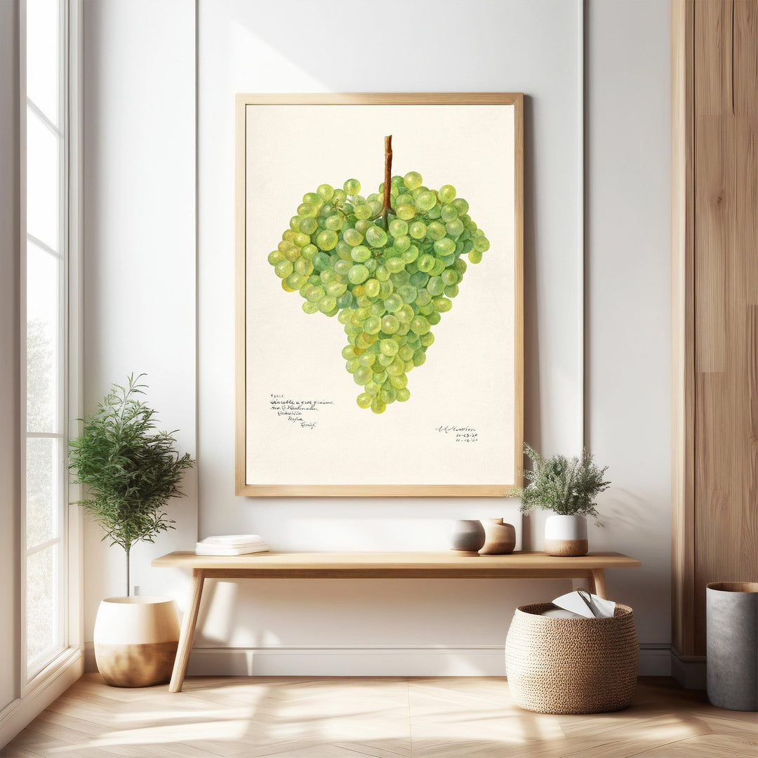Wadi Home Botanical Grape Cluster Wall Art, realistic green grape illustration, framed print for kitchen or dining room decor.