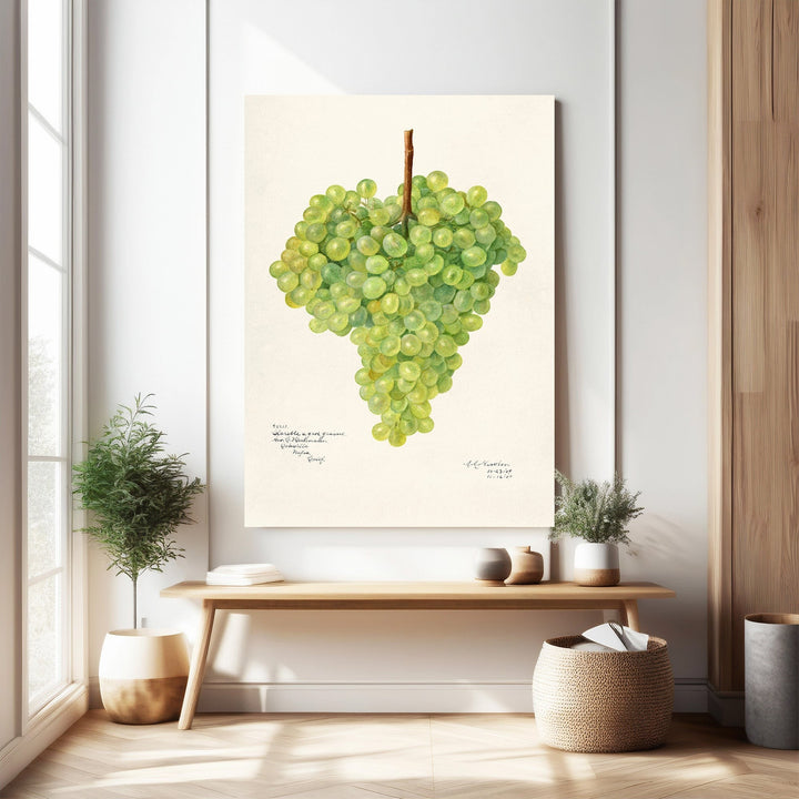 Wadi Home Botanical Grape Cluster Wall Art, realistic green grape illustration on cream background, rustic charm, organic elegance.