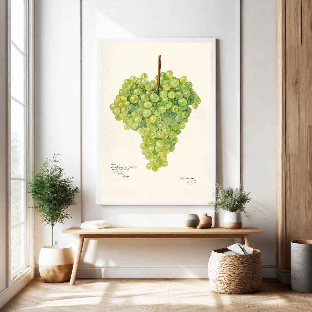 Wadi Home Botanical Grape Cluster Wall Art, realistic green grape illustration on cream background, rustic charm.