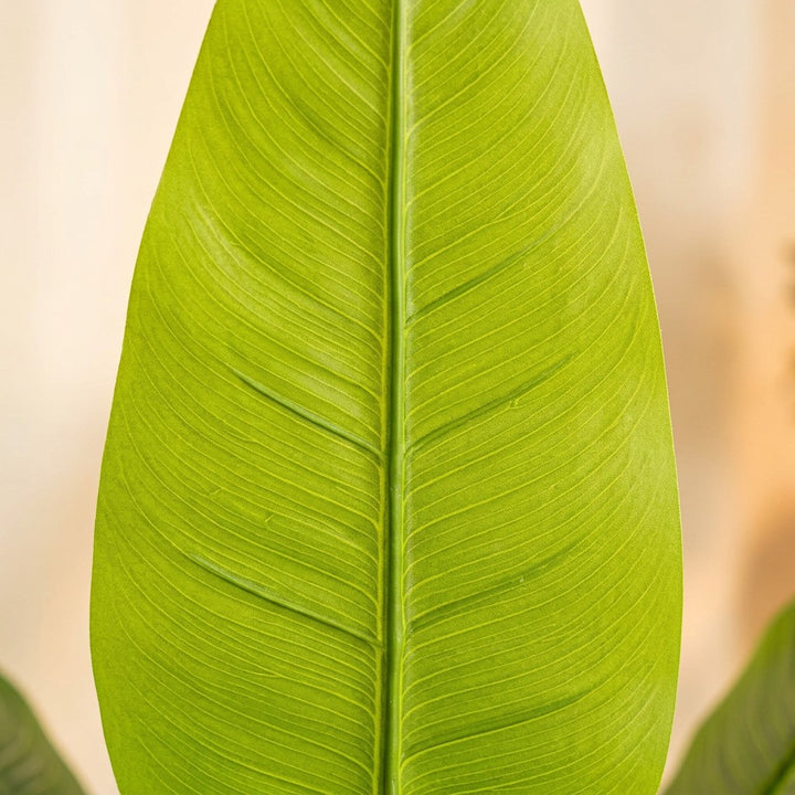 Wadi Home large faux Bird of Paradise plant with vibrant green leaves, perfect for home or office decor.